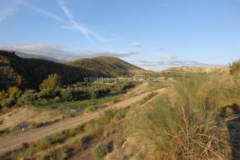 Działka w Purchena, Almeria, Hiszpania nr 184119 – zdjęcie 5