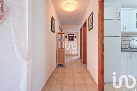 House à vendre à Santa Margalida, Mallorca, Espagne, 3 chambres, 215 m2 No. 153418 - photo 10