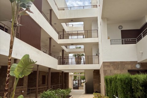 Apartment à vendre à Orihuela, Alicante, Espagne, 2 chambres, 112 m2 No. 153420 - photo 15