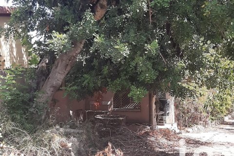 Land plot for sale in La Bisbal Del Penedes, Tarragona, Spain 1200 sq.m. No. 185724 - photo 17