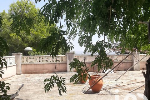Land plot for sale in La Bisbal Del Penedes, Tarragona, Spain 1200 sq.m. No. 185724 - photo 3