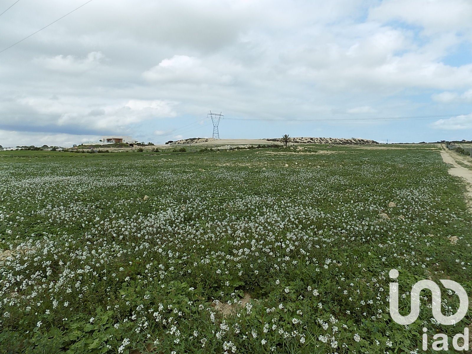 Land plot à Elche, Alicante, Espagne 10000 m2 No. 185730