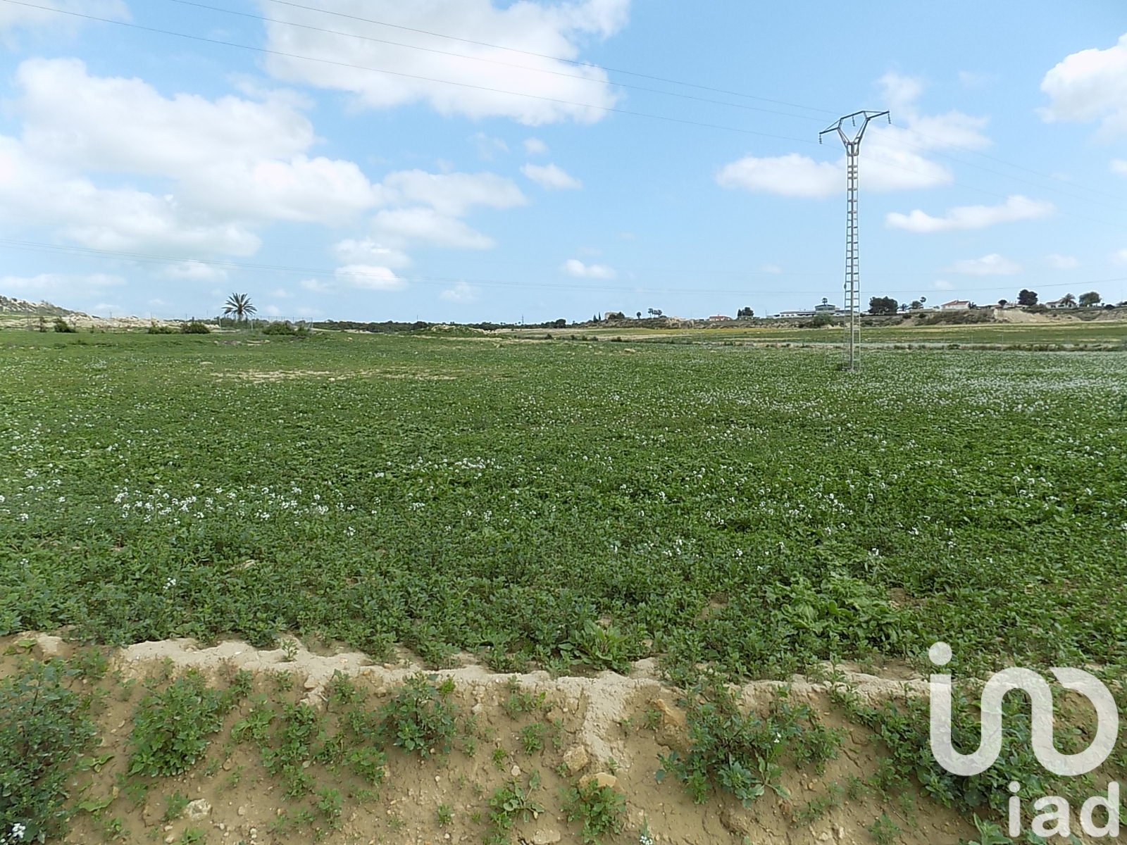 Land plot à Elche, Alicante, Espagne 10000 m2 No. 185730