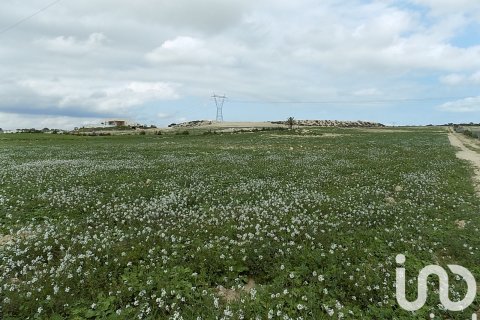 Land plot à vendre à Elche, Alicante, Espagne, 10000 m2 No. 185730 - photo 13