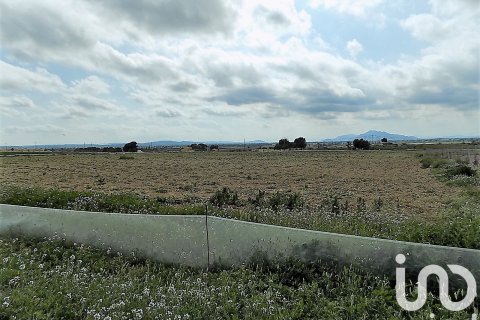 Land plot à vendre à Elche, Alicante, Espagne, 10000 m2 No. 185730 - photo 7