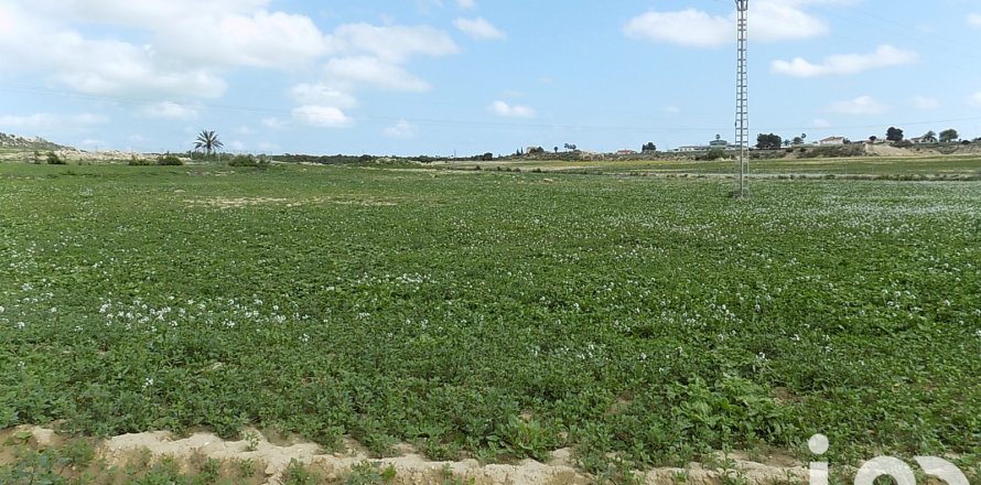 Land plot à Elche, Alicante, Espagne 10000 m2 No. 185730