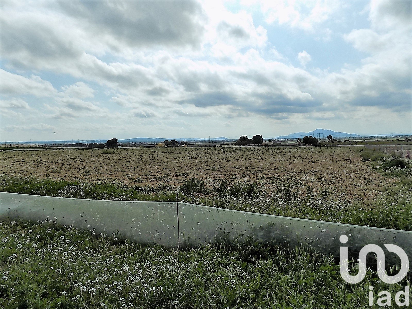 Land plot à Elche, Alicante, Espagne 10000 m2 No. 185730