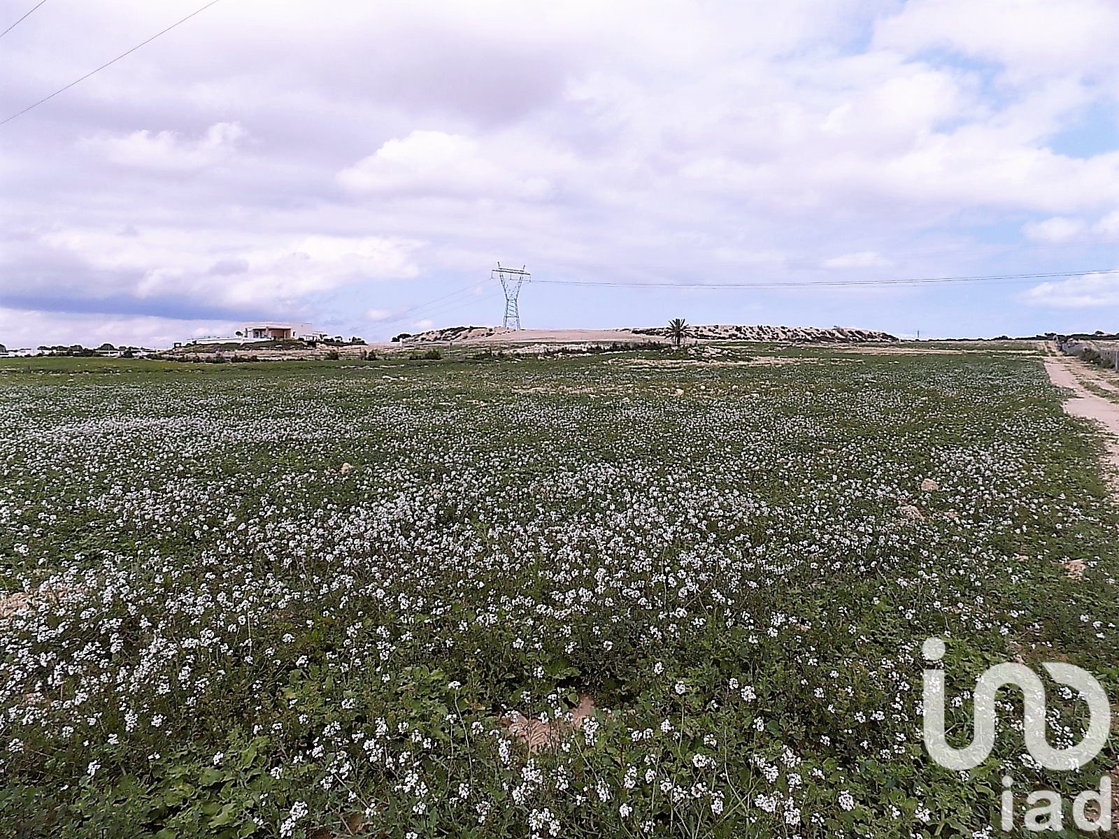 Land plot à Elche, Alicante, Espagne 10000 m2 No. 185730
