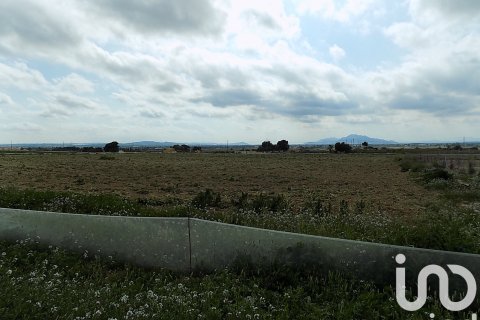 Land plot à vendre à Elche, Alicante, Espagne, 10000 m2 No. 185730 - photo 12