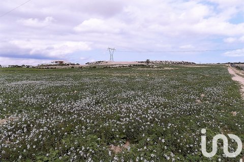 Land plot à vendre à Elche, Alicante, Espagne, 10000 m2 No. 185730 - photo 22