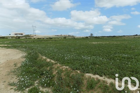 Land plot à vendre à Elche, Alicante, Espagne, 10000 m2 No. 185730 - photo 10