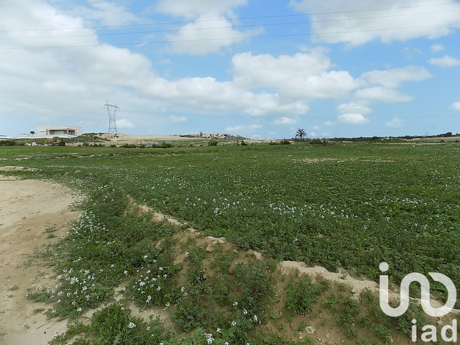 Land plot à Elche, Alicante, Espagne 10000 m2 No. 185730