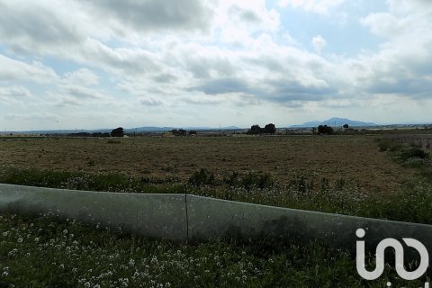 Land plot à vendre à Elche, Alicante, Espagne, 10000 m2 No. 185730 - photo 17