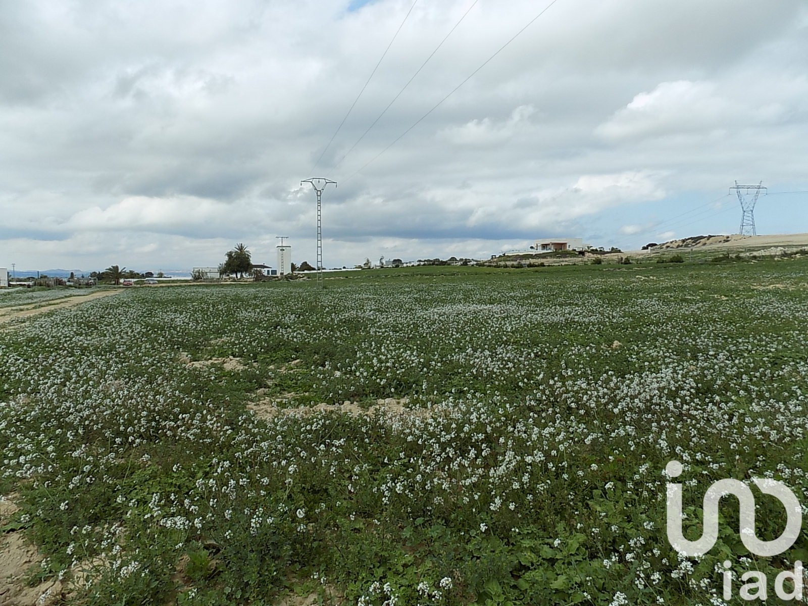 Land plot à Elche, Alicante, Espagne 10000 m2 No. 185730