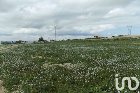 Land plot à vendre à Elche, Alicante, Espagne, 10000 m2 No. 185730 - photo 28