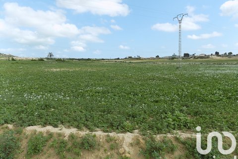 Land plot à vendre à Elche, Alicante, Espagne, 10000 m2 No. 185730 - photo 11
