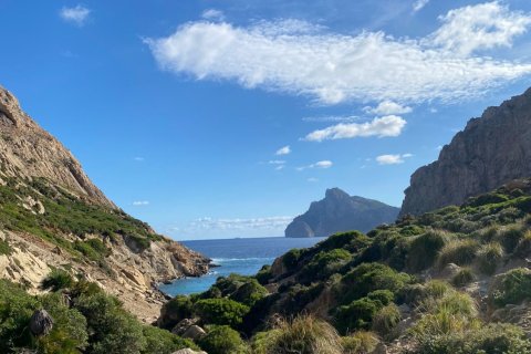 Appartamento in affitto a Port De Pollenca, Mallorca, Spagna 2 camere da letto, 100 mq. N° 149941 - foto 13