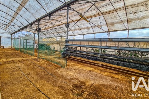 Продажа дома в Торрент, Валенсия, Испания 2 спальни, 89м2 №195017 - фото 5