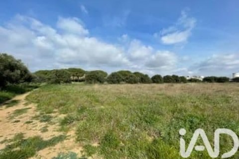 Działka w Cambrils, Tarragona, Hiszpania 21004 mkw. nr 172656 – zdjęcie 3