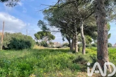 Działka w Cambrils, Tarragona, Hiszpania 21004 mkw. nr 172656 – zdjęcie 5