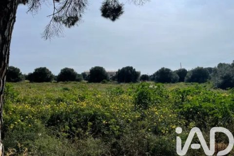 Działka w Cambrils, Tarragona, Hiszpania 21004 mkw. nr 172656 – zdjęcie 4