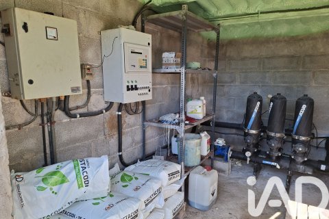Commercial property for sale in Ulldecona, Tarragona, Spain No. 172652 - photo 18