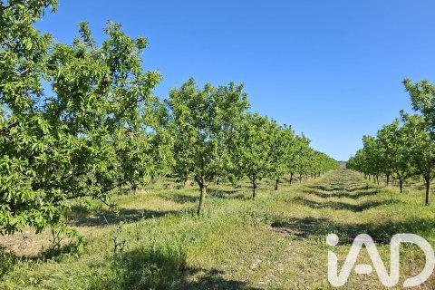 Commercial property for sale in Ulldecona, Tarragona, Spain No. 172652 - photo 30