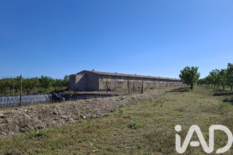 Commercial property for sale in Ulldecona, Tarragona, Spain No. 172652 - photo 24