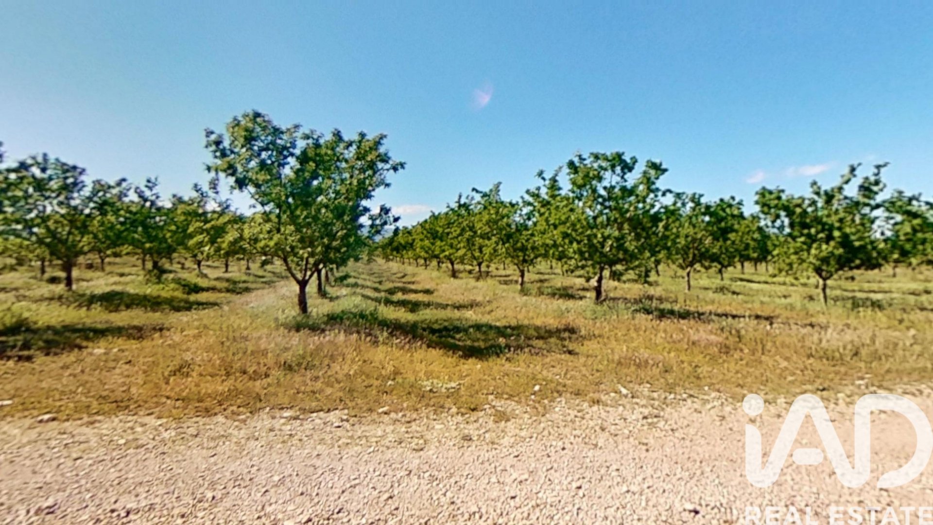 Proprietà commerciale a Ulldecona, Tarragona, Spagna N° 172652