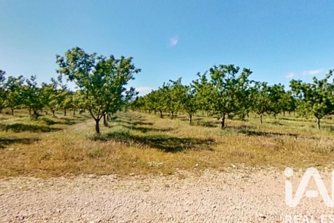 Commercial property for sale in Ulldecona, Tarragona, Spain No. 172652 - photo 10