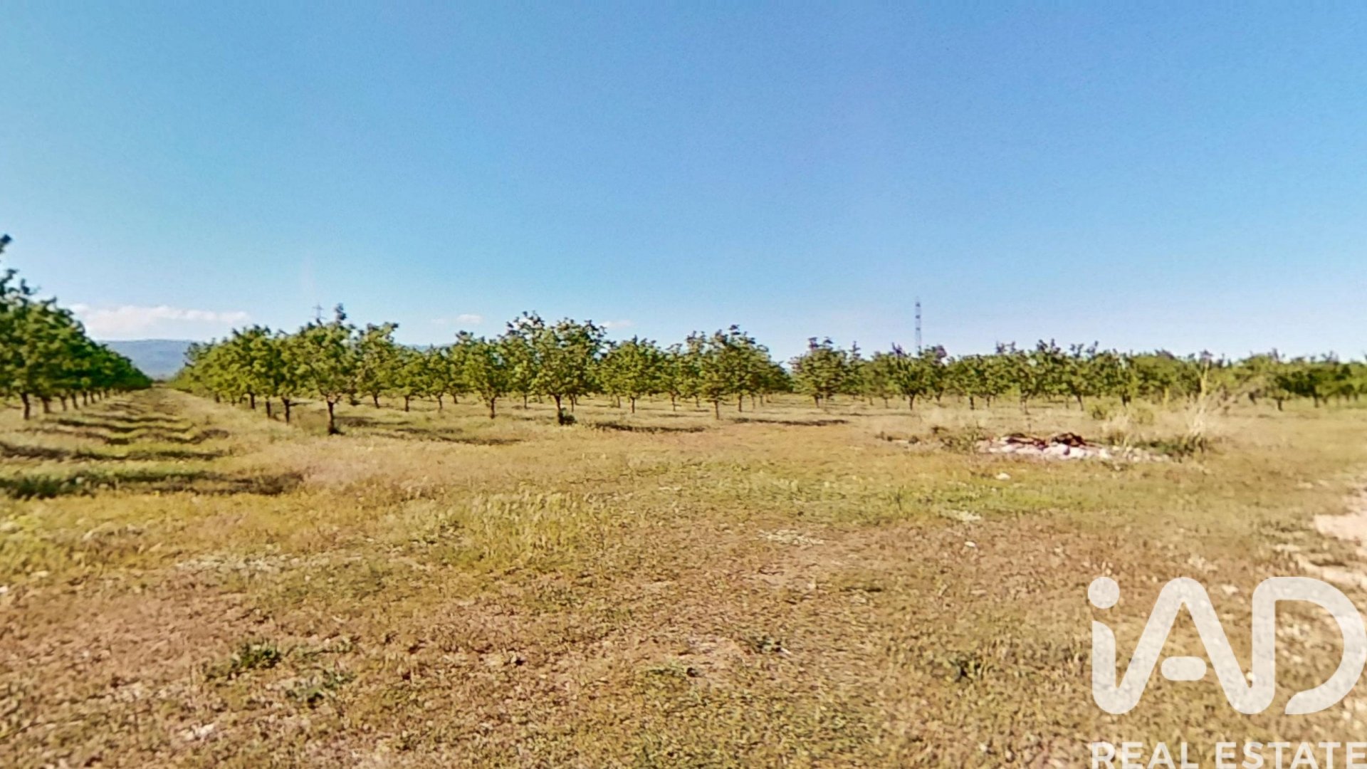 Proprietà commerciale a Ulldecona, Tarragona, Spagna N° 172652