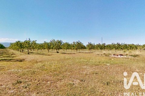 Commercial property for sale in Ulldecona, Tarragona, Spain No. 172652 - photo 14
