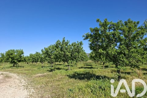 Commercial property for sale in Ulldecona, Tarragona, Spain No. 172652 - photo 9