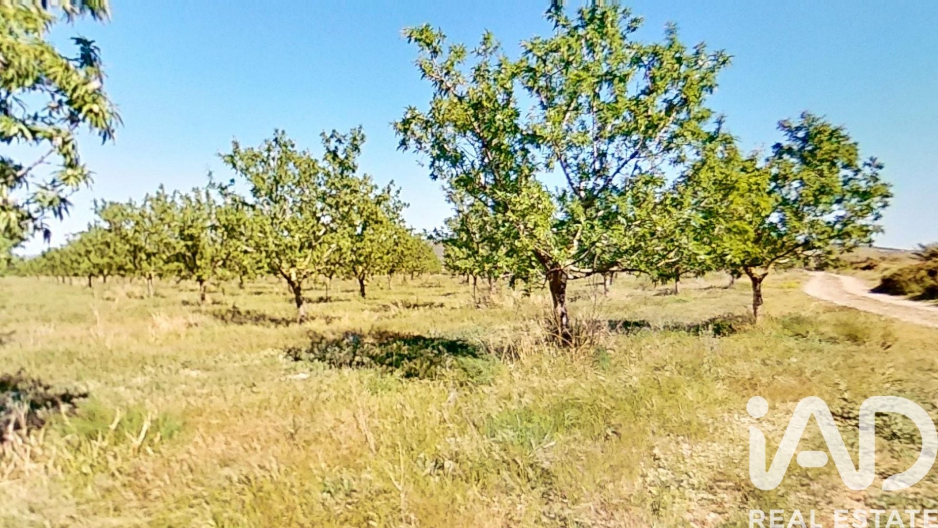 Proprietà commerciale a Ulldecona, Tarragona, Spagna N° 172652