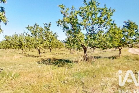 Commercial property for sale in Ulldecona, Tarragona, Spain No. 172652 - photo 2