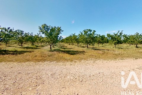 Commercial property for sale in Ulldecona, Tarragona, Spain No. 172652 - photo 27