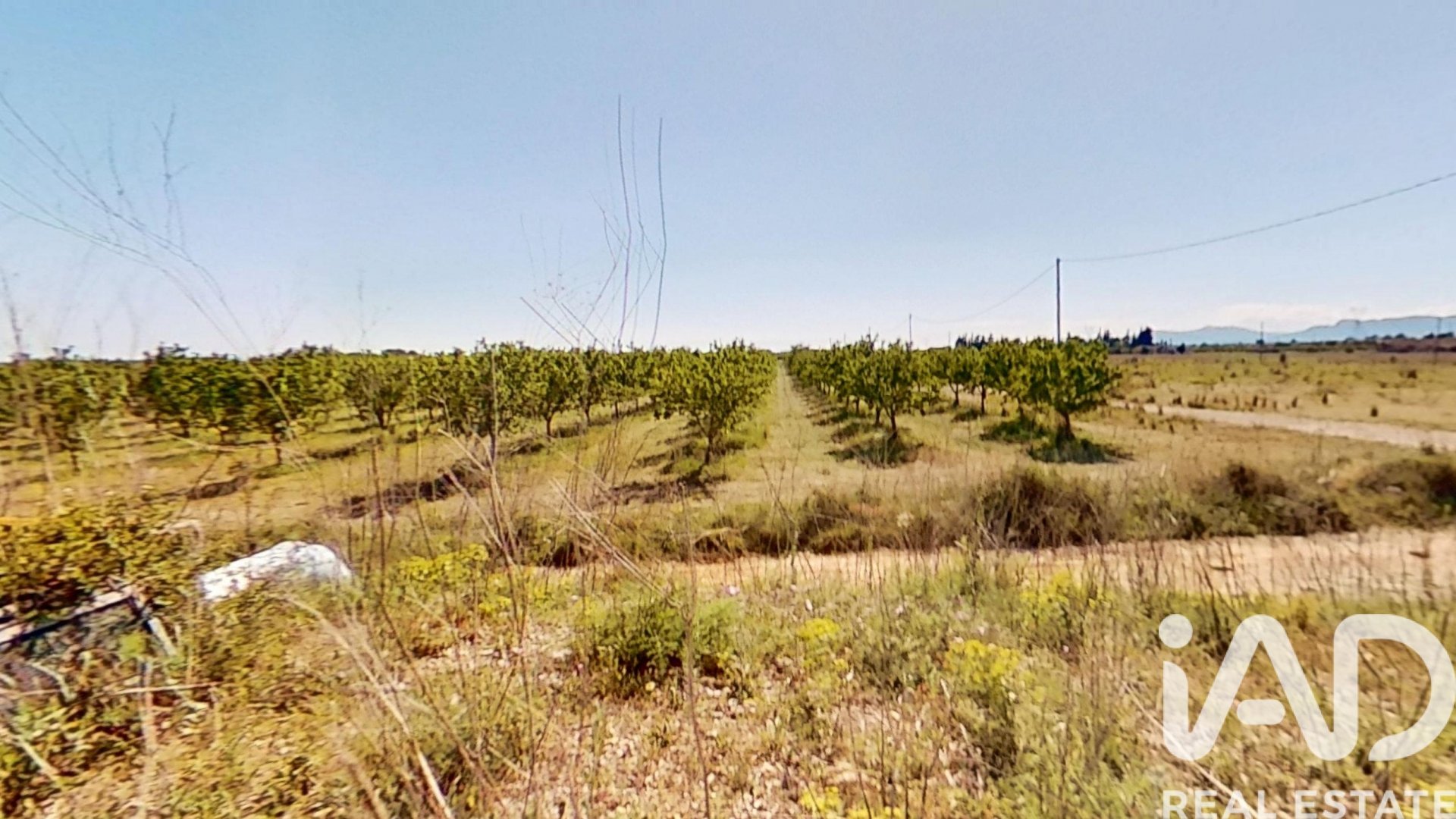 Proprietà commerciale a Ulldecona, Tarragona, Spagna N° 172652