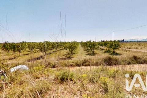 Commercial property for sale in Ulldecona, Tarragona, Spain No. 172652 - photo 13