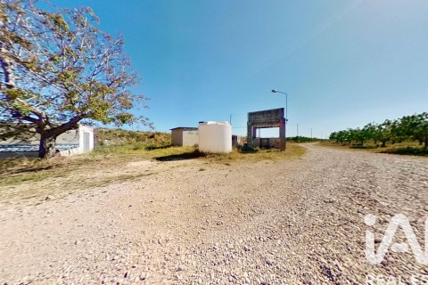 Commercial property for sale in Ulldecona, Tarragona, Spain No. 172652 - photo 16