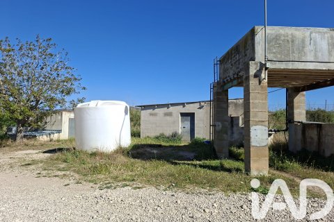 Commercial property for sale in Ulldecona, Tarragona, Spain No. 172652 - photo 17