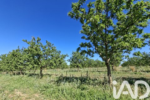 Commercial property for sale in Ulldecona, Tarragona, Spain No. 172652 - photo 12