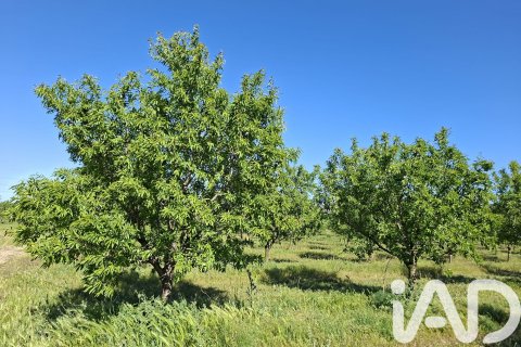 Commercial property for sale in Ulldecona, Tarragona, Spain No. 172652 - photo 8