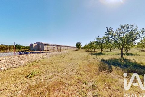 Commercial property for sale in Ulldecona, Tarragona, Spain No. 172652 - photo 26