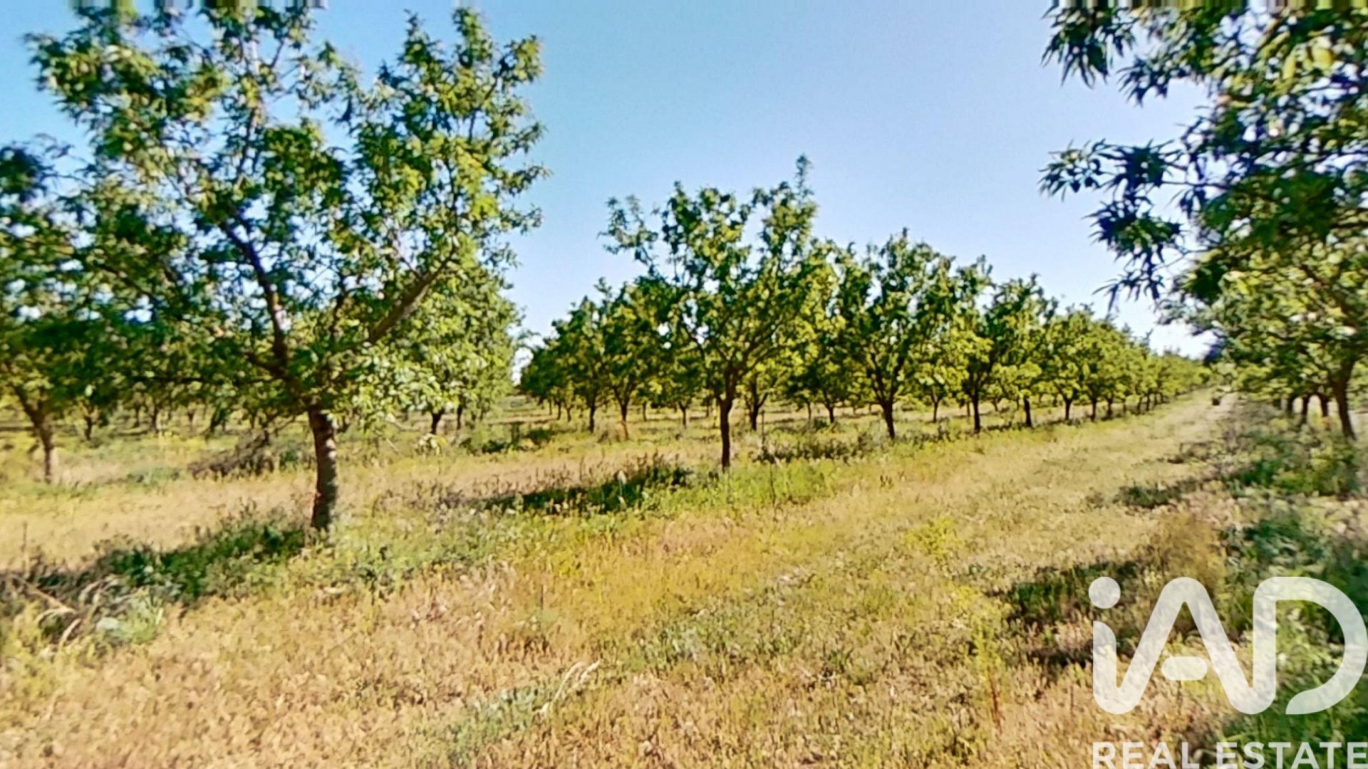 Proprietà commerciale a Ulldecona, Tarragona, Spagna N° 172652