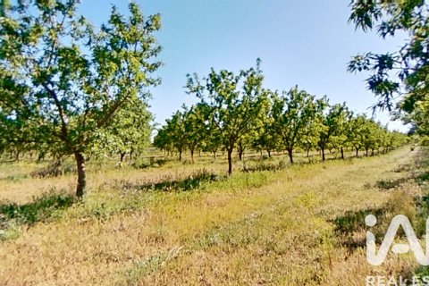 Commercial property for sale in Ulldecona, Tarragona, Spain No. 172652 - photo 11