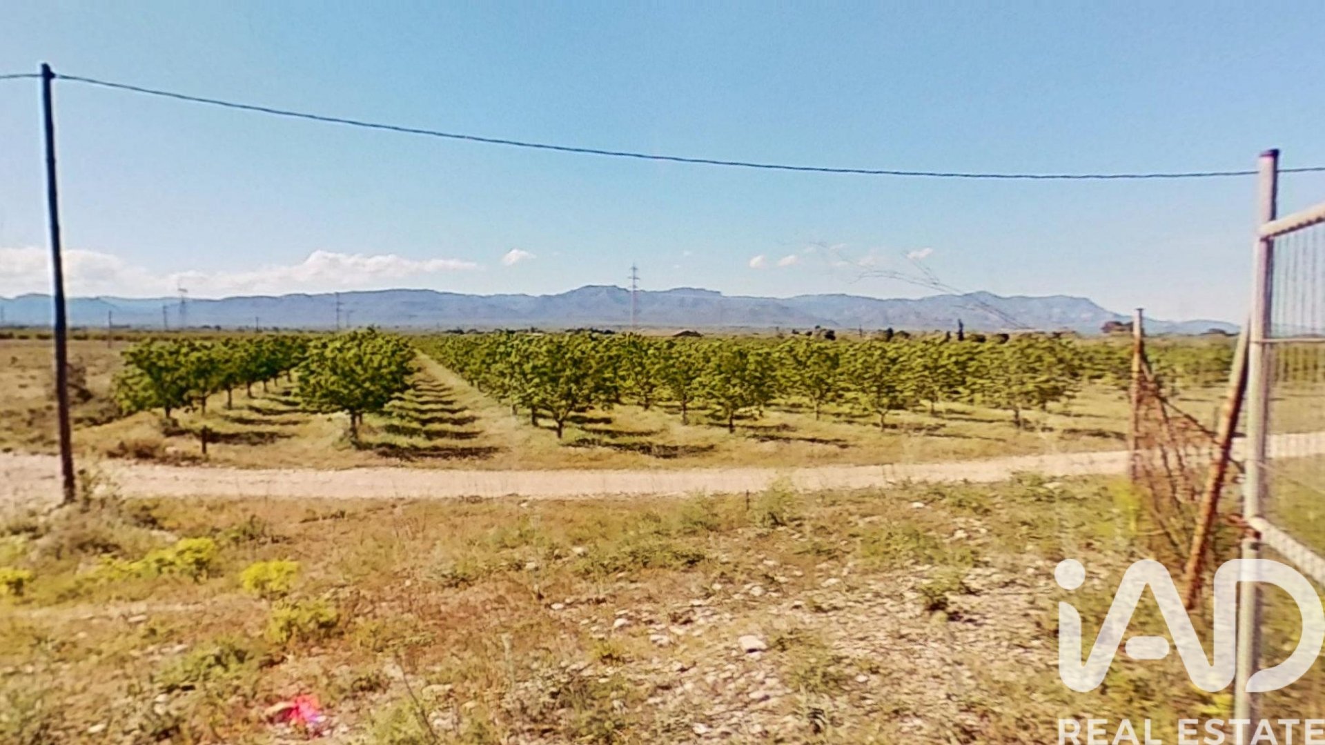 Proprietà commerciale a Ulldecona, Tarragona, Spagna N° 172652