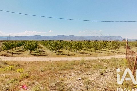Commercial property for sale in Ulldecona, Tarragona, Spain No. 172652 - photo 3