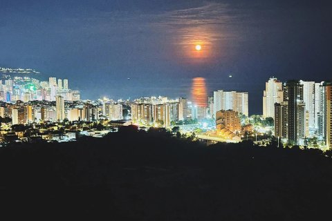 Apartamento en venta en Benidorm, Alicante, España 2 dormitorios, 113 m2 No. 190817 - foto 3