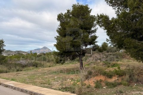Land zum Verkauf in Javea, Alicante, Spanien 1000 m2 Nr. 157060 - Foto 2