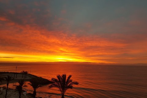 Wohnung zum Verkauf in Torrevieja, Alicante, Spanien 3 Schlafzimmer, 120 m2 Nr. 137985 - Foto 29